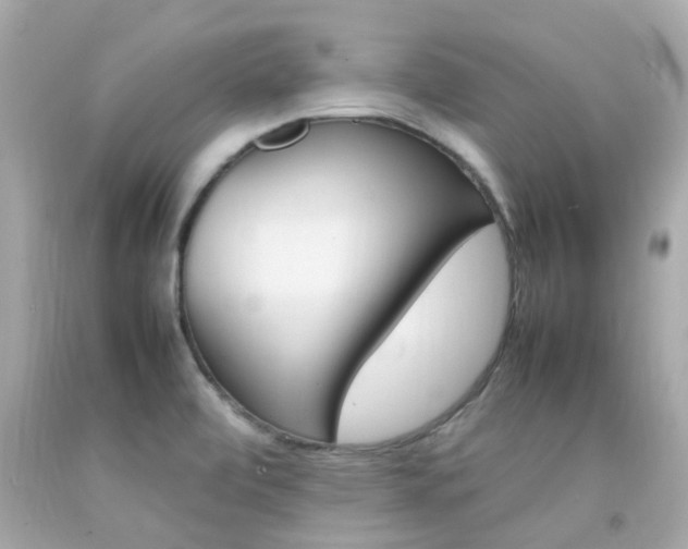 X0000092091472200709121116