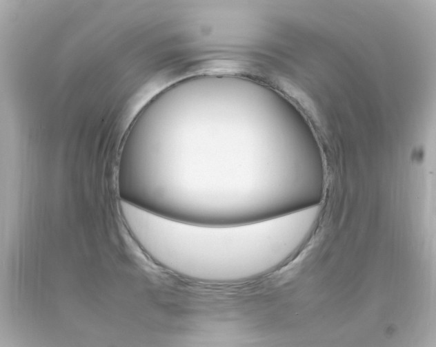 X0000092091473200709121116