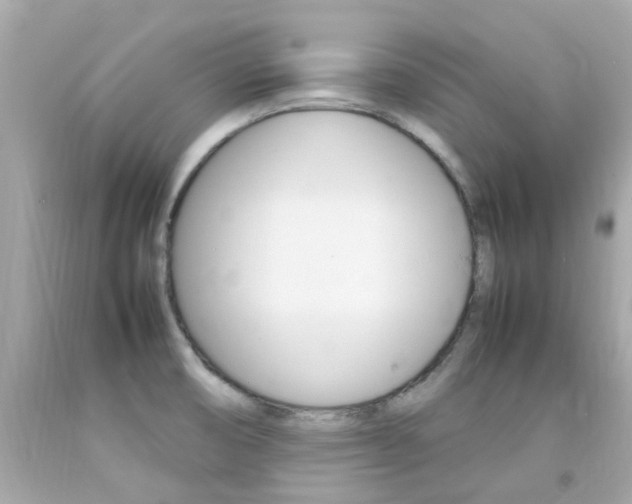 X0000092091474200709121116