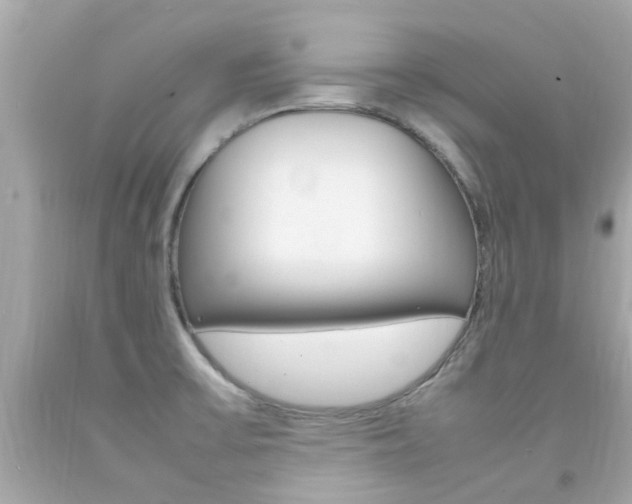X0000092091475200709121116