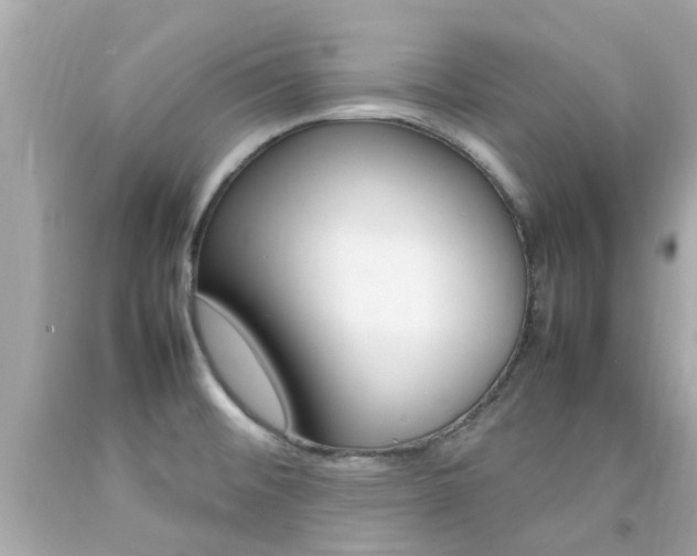 X0000092091476200709121116