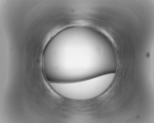 X0000092091477200709121116