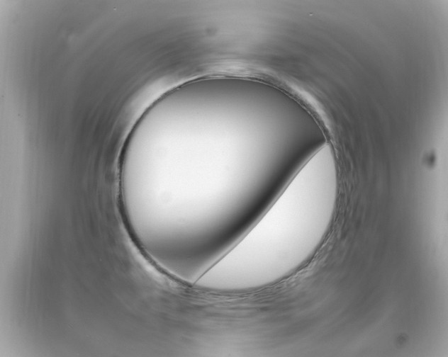 X0000092091479200709121116