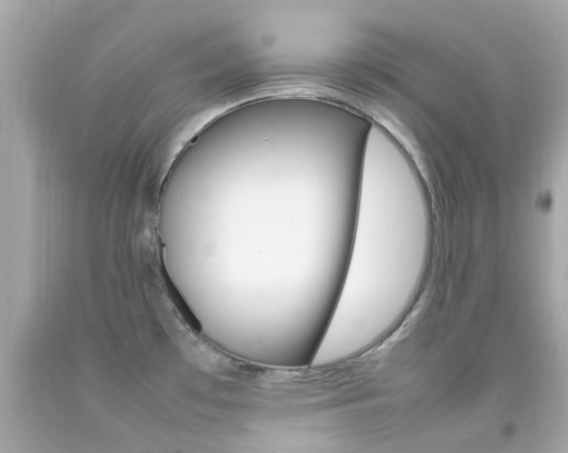 X0000092091481200709121116