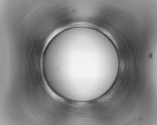 X0000092091482200709121116