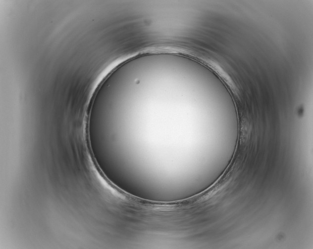 X0000092091484200709121115