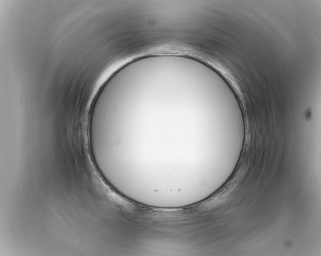 X0000092091486200709121115