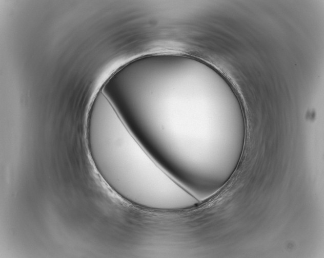 X0000092091488200709121115