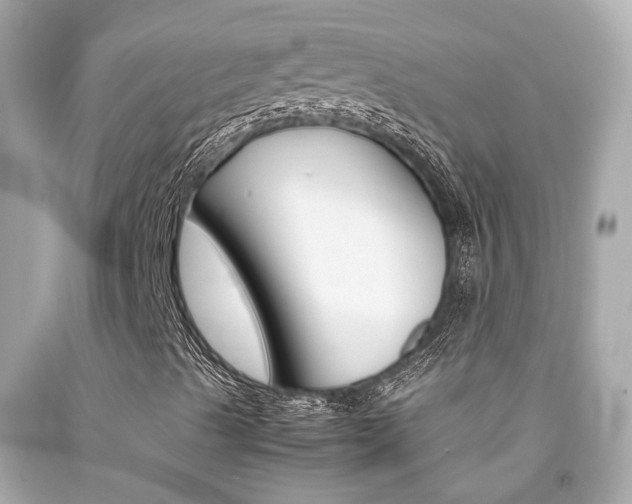 X0000092091489200709121115