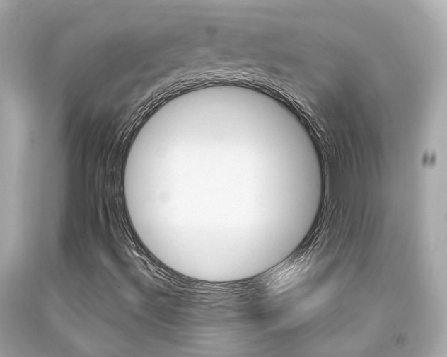 X0000092091492200709121115