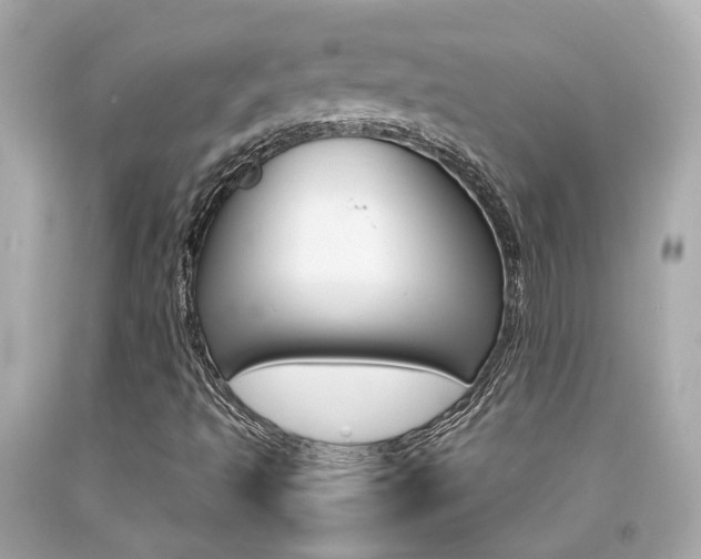 X0000092091493200709121115