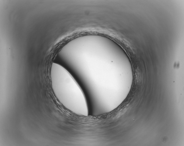X0000092091494200709121115