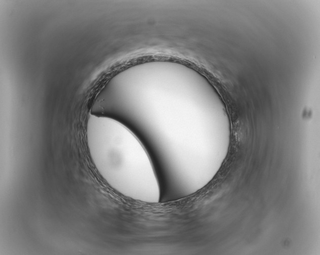 X0000092091495200709121115