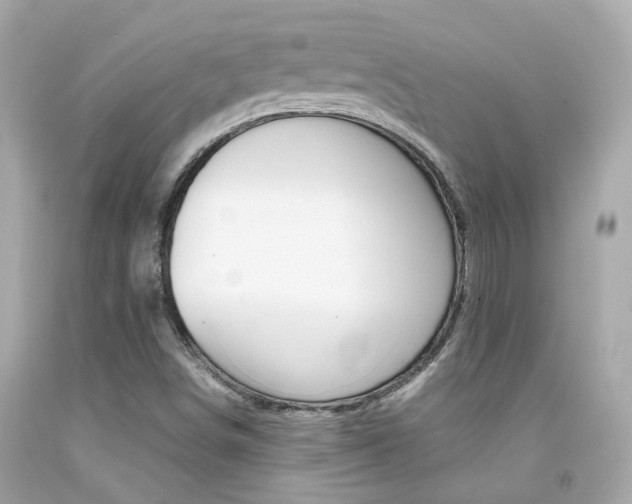X0000092091498200709121115