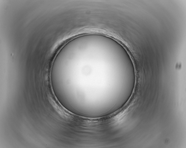 X0000092091499200709121115