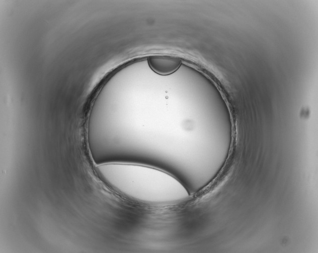 X0000092091501200709121115