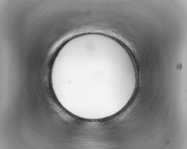 X0000092091502200709121115