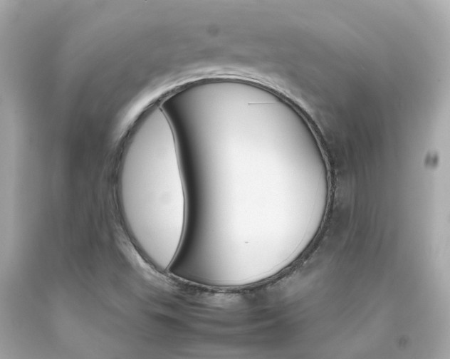 X0000092091503200709121115