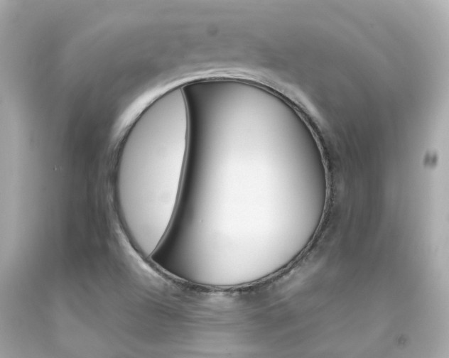 X0000092091504200709121115