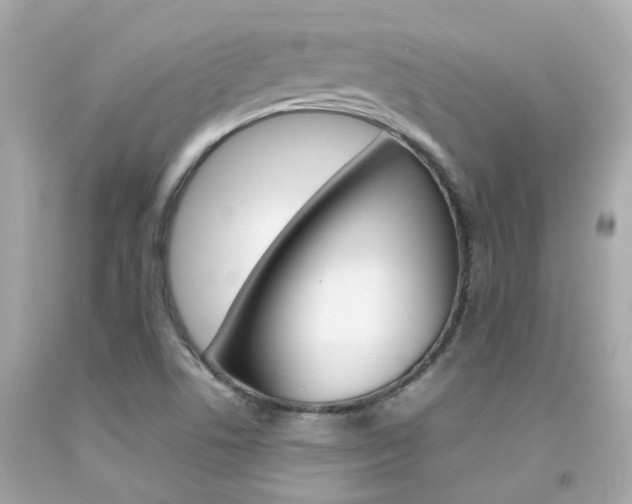 X0000092091506200709121115
