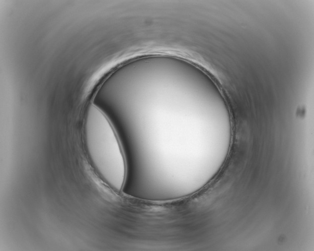 X0000092091507200709121115