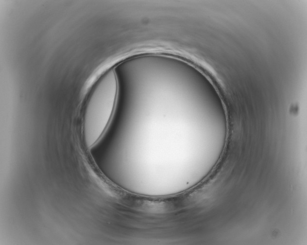 X0000092091509200709121115