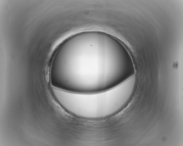 X0000092091510200709121115
