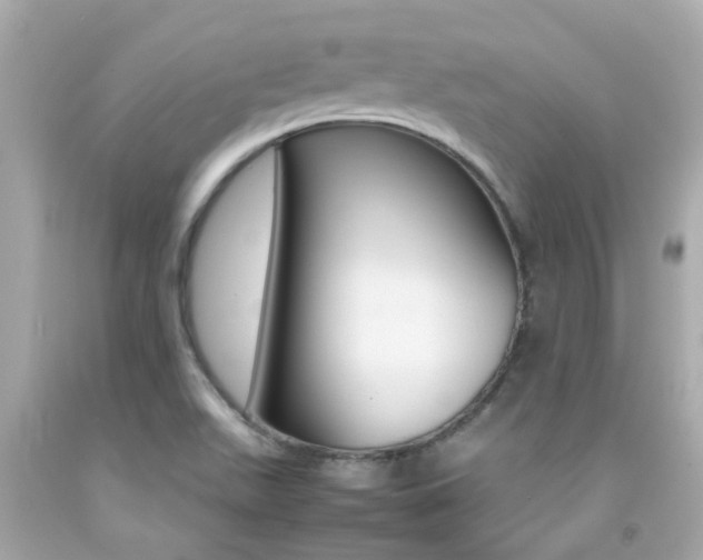 X0000092091511200709121115