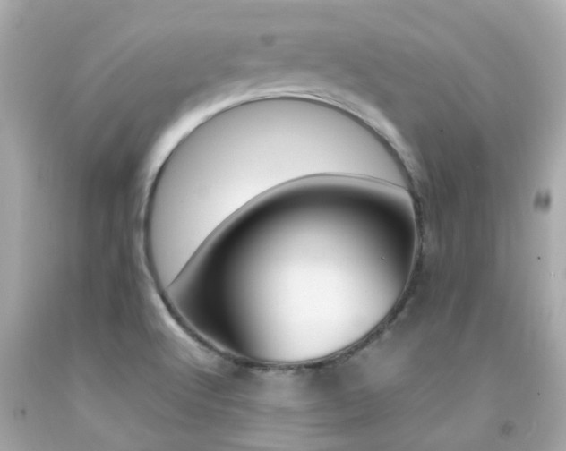 X0000092091512200709121115