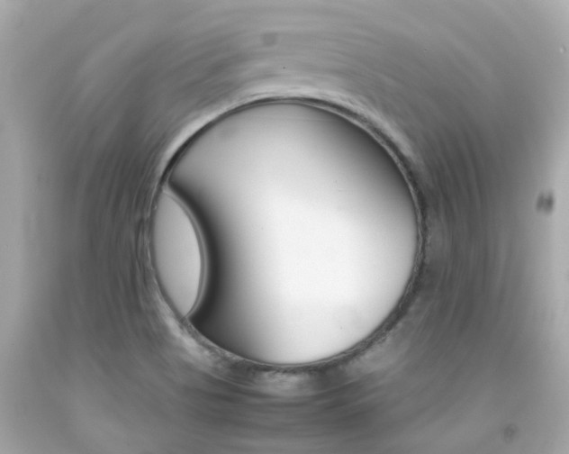 X0000092091513200709121115