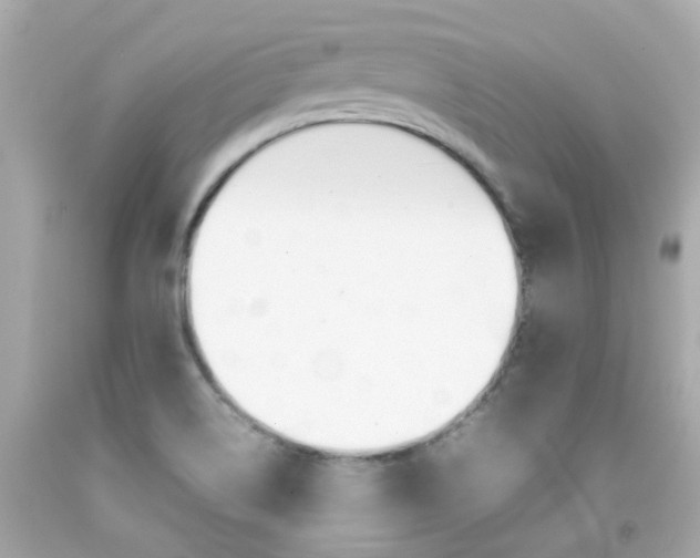 X0000092091514200709121115