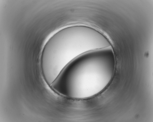 X0000092091516200709121115