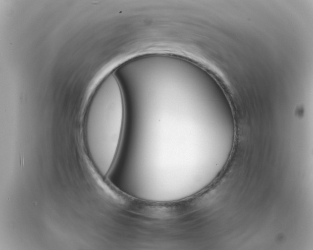 X0000092091517200709121115