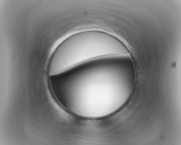 X0000092091518200709121115
