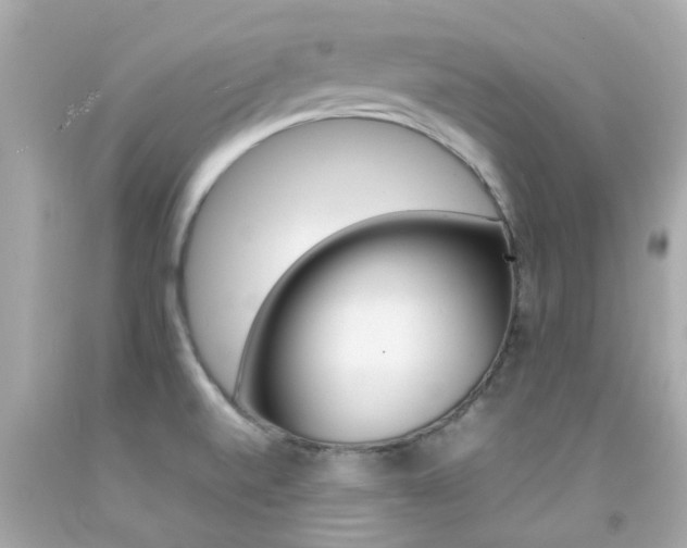 X0000092091520200709121115