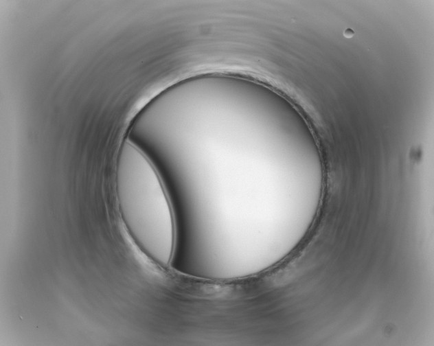 X0000092091521200709121115