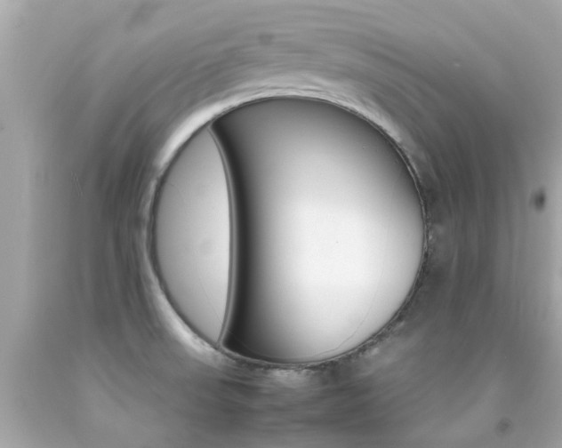 X0000092091523200709121115