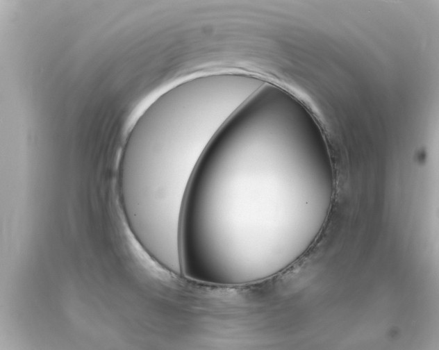 X0000092091524200709121115