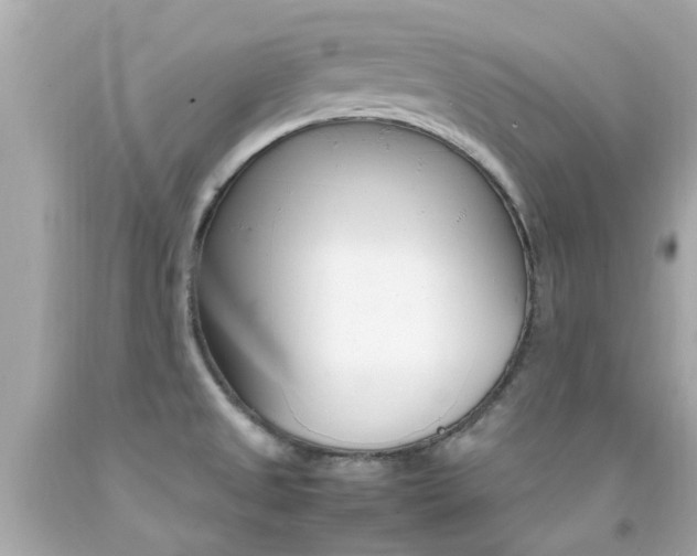 X0000092091525200709121115
