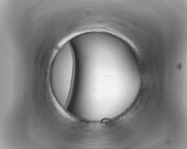 X0000092091526200709121115