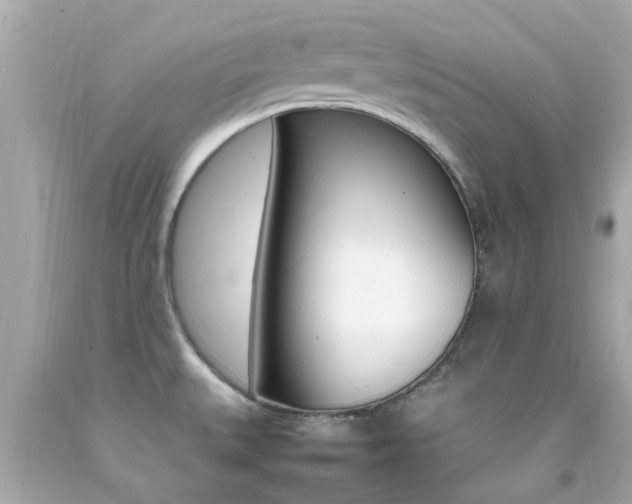 X0000092091527200709121115