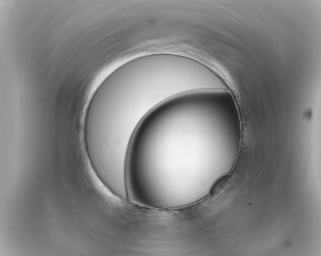 X0000092091528200709121115
