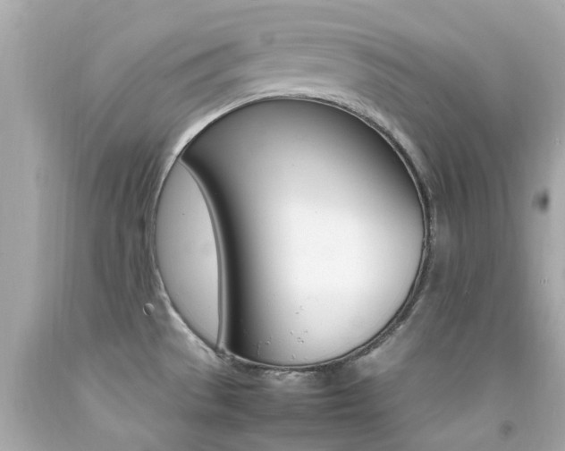 X0000092091529200709121115