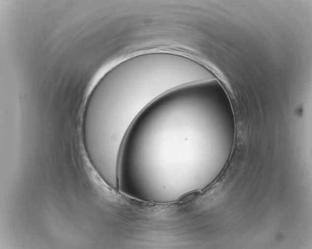 X0000092091530200709121115