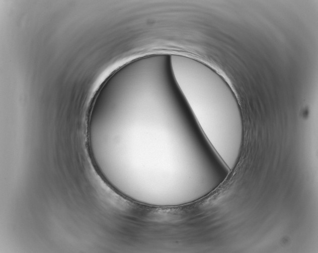 X0000092091531200709121115