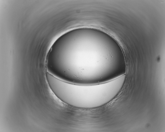X0000092091532200709121115