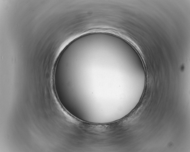 X0000092091533200709121115