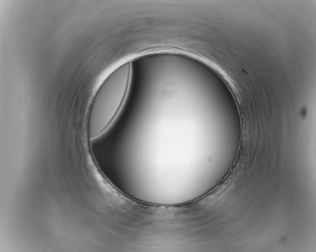 X0000092091534200709121115