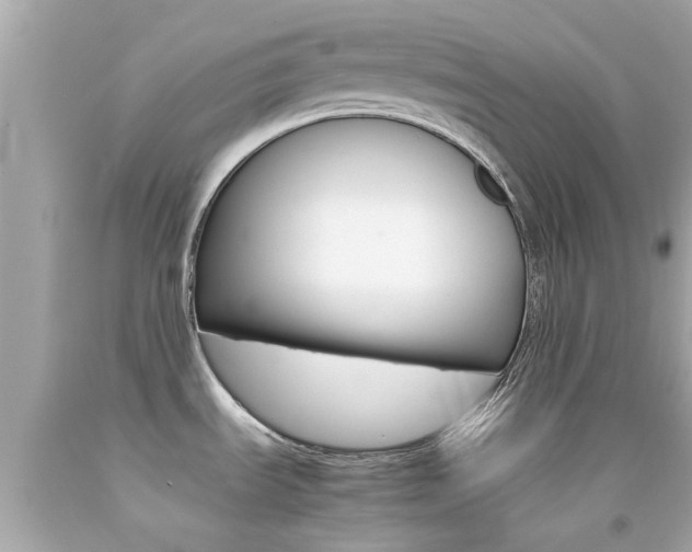 X0000092091535200709121115