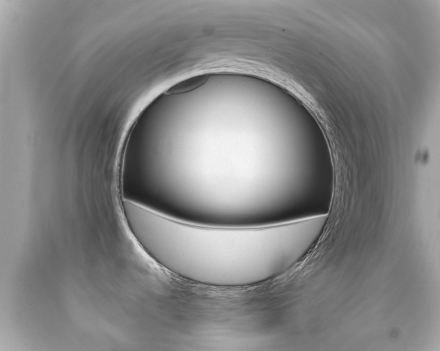 X0000092091536200709121115